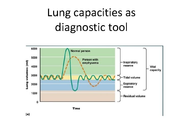 Lung capacities as diagnostic tool 