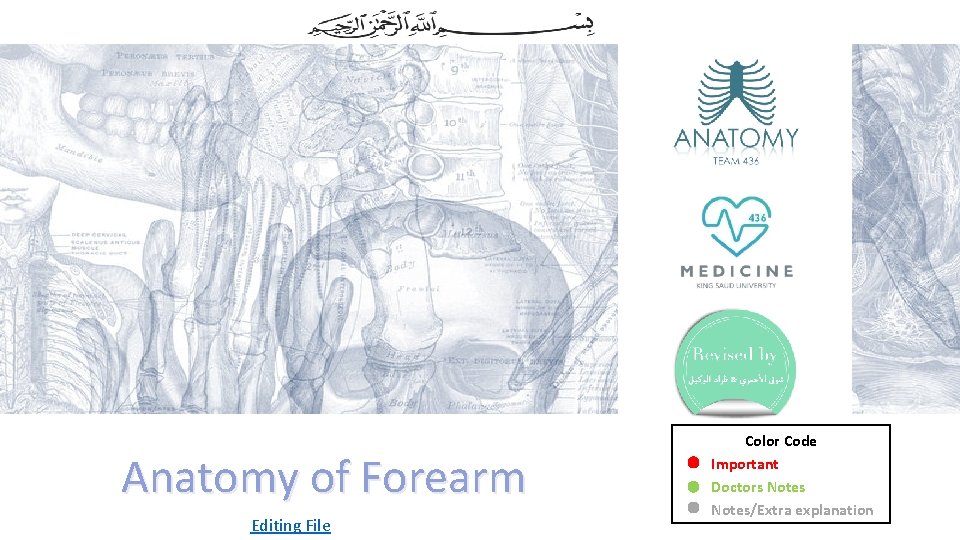 Anatomy of Forearm Editing File Color Code Important Doctors Notes/Extra explanation 