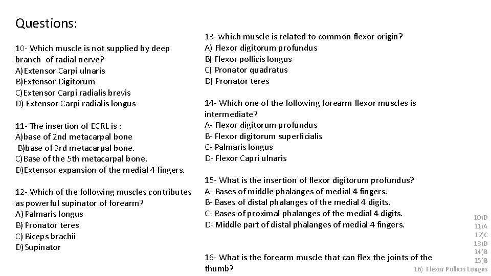 Questions: 10 - Which muscle is not supplied by deep branch of radial nerve?