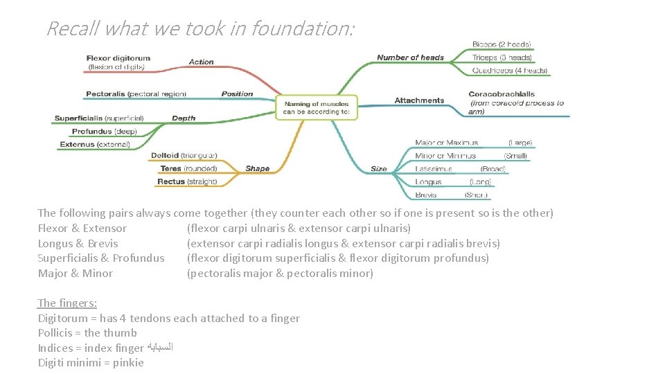 Recall what we took in foundation: The following pairs always come together (they counter