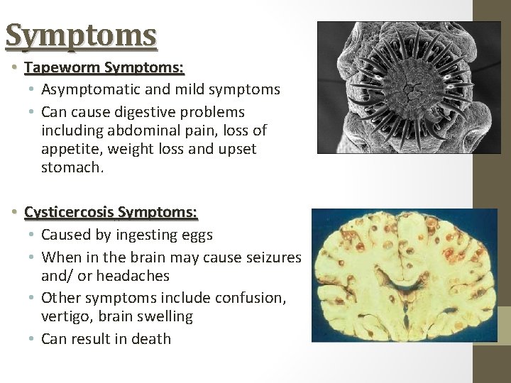Symptoms • Tapeworm Symptoms: • Asymptomatic and mild symptoms • Can cause digestive problems
