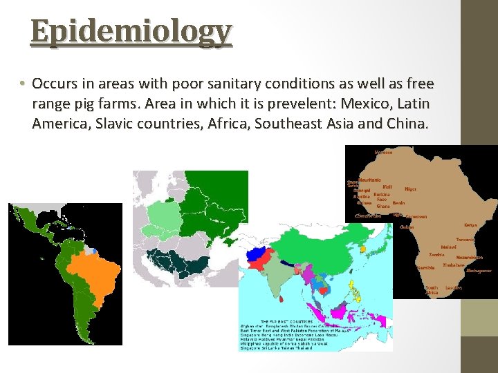 Epidemiology • Occurs in areas with poor sanitary conditions as well as free range