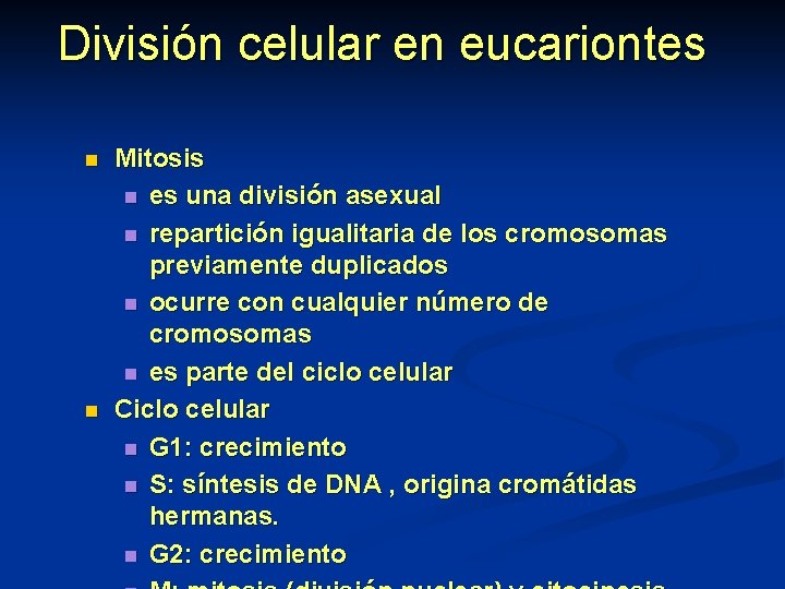 División celular en eucariontes n n Mitosis n es una división asexual n repartición