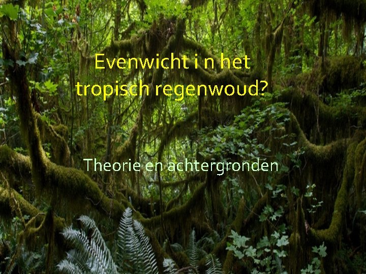 Evenwicht i n het tropisch regenwoud? Theorie en achtergronden 