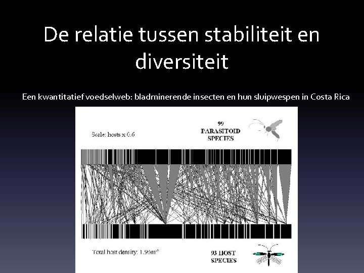 De relatie tussen stabiliteit en diversiteit Een kwantitatief voedselweb: bladminerende insecten en hun sluipwespen