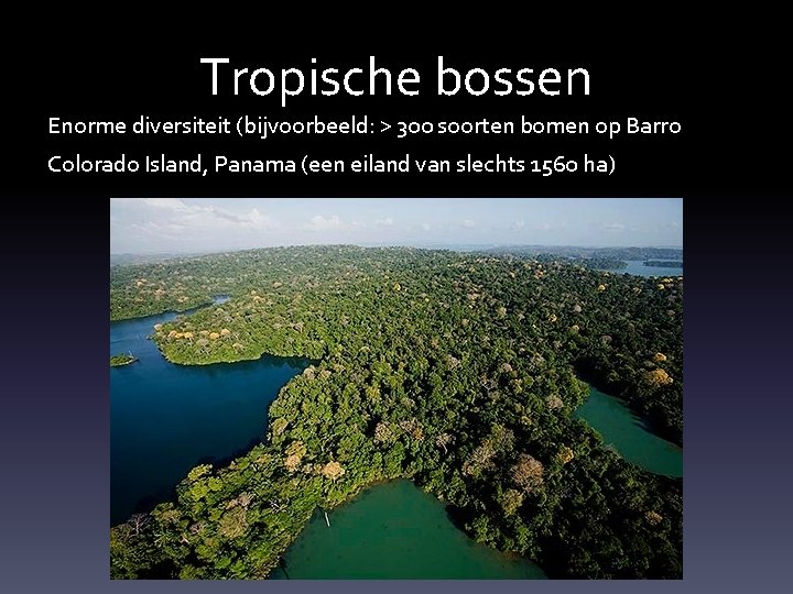 Tropische bossen Enorme diversiteit (bijvoorbeeld: > 300 soorten bomen op Barro Colorado Island, Panama