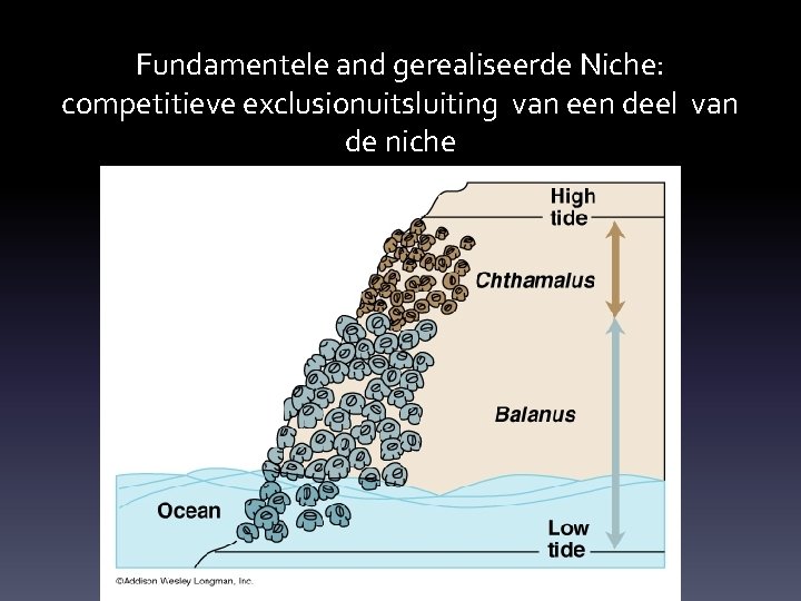 Fundamentele and gerealiseerde Niche: competitieve exclusionuitsluiting van een deel van de niche 