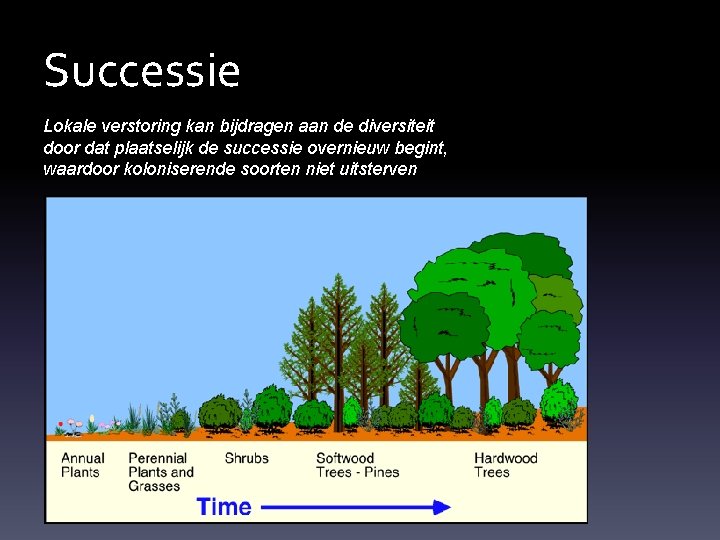 Successie Lokale verstoring kan bijdragen aan de diversiteit door dat plaatselijk de successie overnieuw