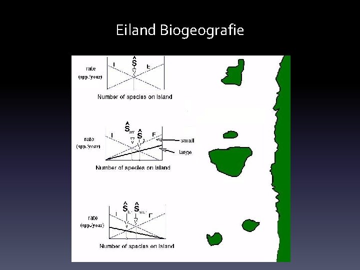 Eiland Biogeografie 