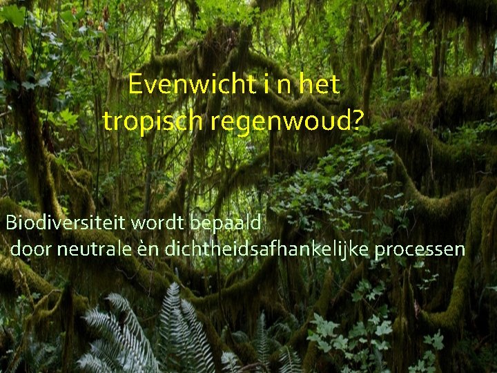 Evenwicht i n het tropisch regenwoud? Biodiversiteit wordt bepaald door neutrale èn dichtheidsafhankelijke processen