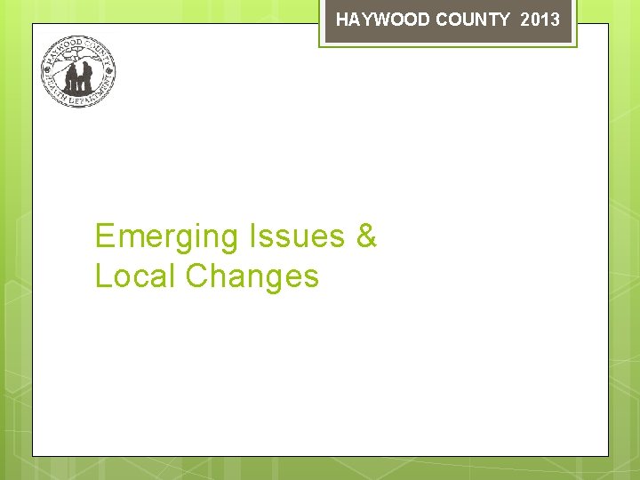 HAYWOOD COUNTY 2013 Emerging Issues & Local Changes 