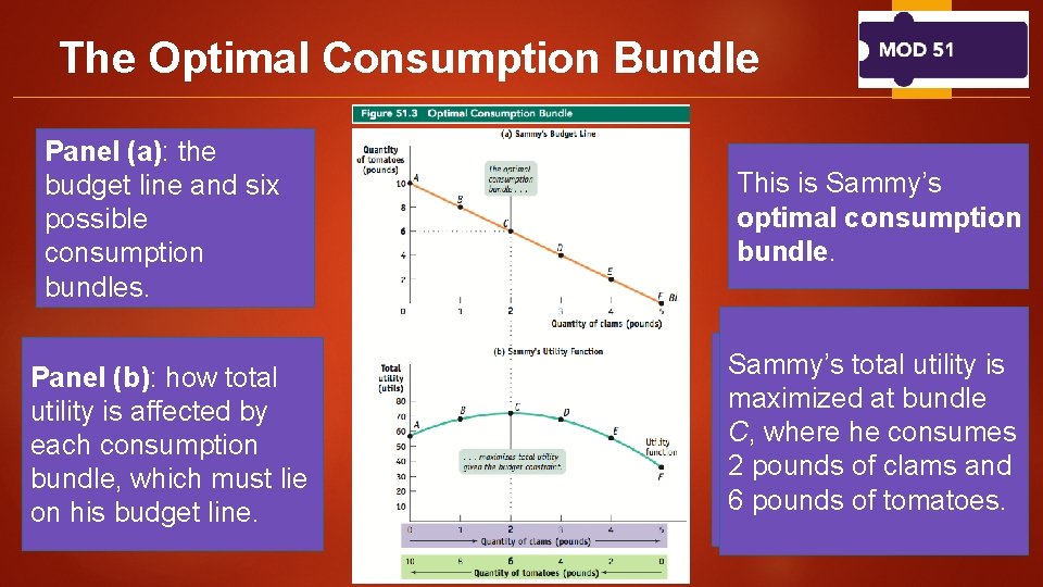 The Optimal Consumption Bundle Panel (a): the budget line and six possible consumption bundles.