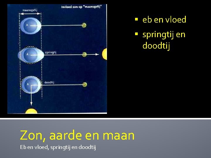 § eb en vloed § springtij en doodtij Zon, aarde en maan Eb en