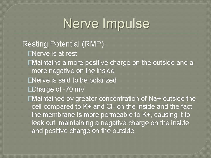 Nerve Impulse Resting Potential (RMP) �Nerve is at rest �Maintains a more positive charge