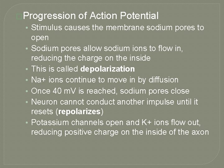 �Progression of Action Potential • Stimulus causes the membrane sodium pores to • •