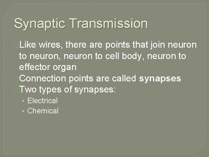 Synaptic Transmission �Like wires, there are points that join neuron to neuron, neuron to