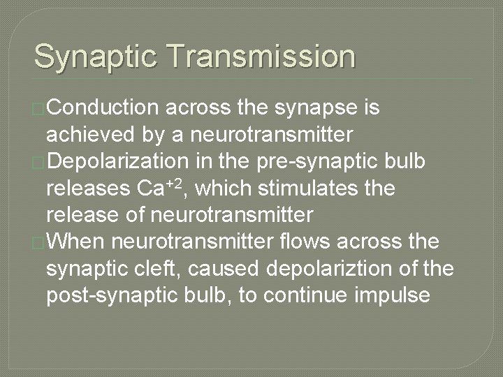 Synaptic Transmission �Conduction across the synapse is achieved by a neurotransmitter �Depolarization in the