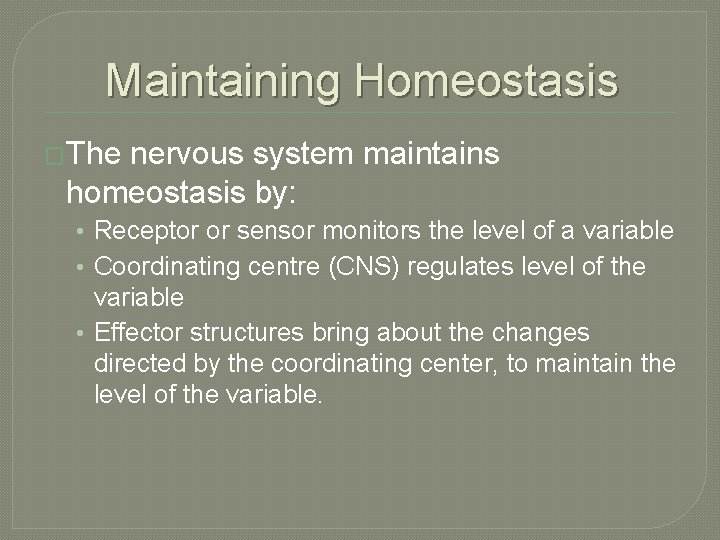 Maintaining Homeostasis �The nervous system maintains homeostasis by: • Receptor or sensor monitors the