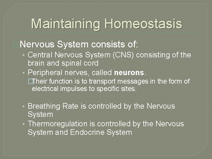 Maintaining Homeostasis �Nervous System consists of: • Central Nervous System (CNS) consisting of the