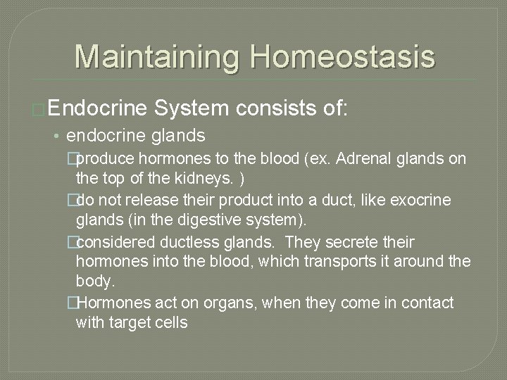 Maintaining Homeostasis �Endocrine System consists of: • endocrine glands �produce hormones to the blood
