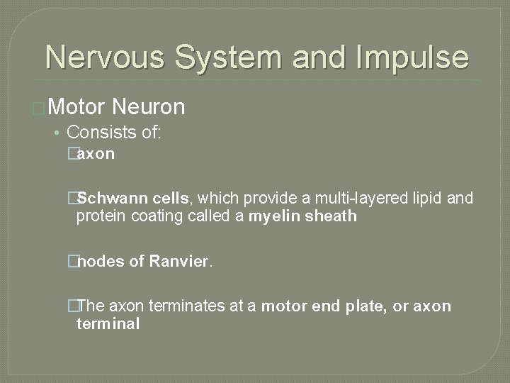 Nervous System and Impulse �Motor Neuron • Consists of: �axon �Schwann cells, which provide