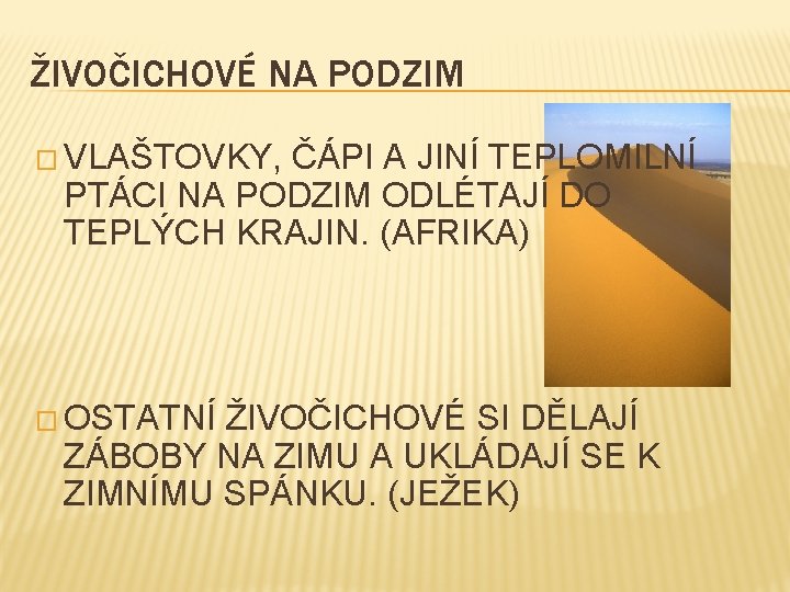 ŽIVOČICHOVÉ NA PODZIM � VLAŠTOVKY, ČÁPI A JINÍ TEPLOMILNÍ PTÁCI NA PODZIM ODLÉTAJÍ DO