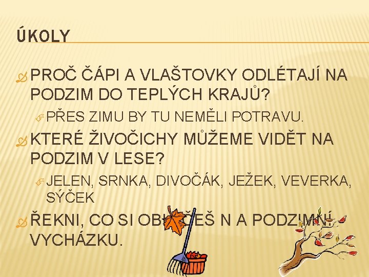 ÚKOLY PROČ ČÁPI A VLAŠTOVKY ODLÉTAJÍ NA PODZIM DO TEPLÝCH KRAJŮ? PŘES ZIMU BY