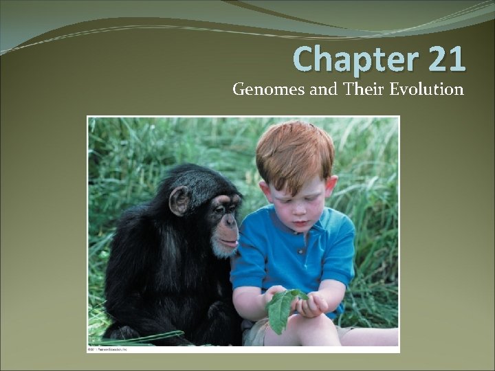 Chapter 21 Genomes and Their Evolution 