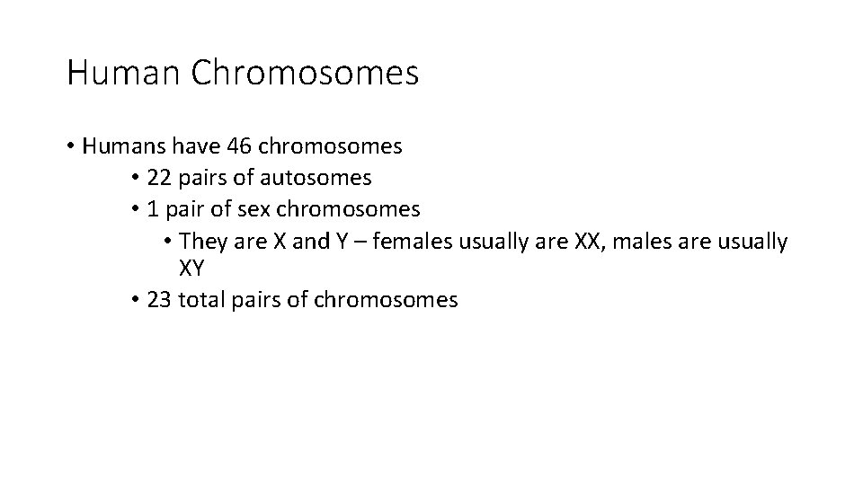 Human Chromosomes • Humans have 46 chromosomes • 22 pairs of autosomes • 1