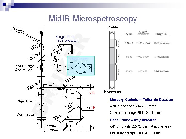 Mid. IR Microspetroscopy Visible Microwaves Mercury-Cadmium-Telluride Detector Active area of 250 X 250 mm