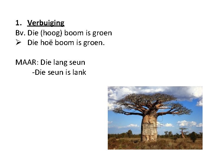 1. Verbuiging Bv. Die (hoog) boom is groen Ø Die hoë boom is groen.