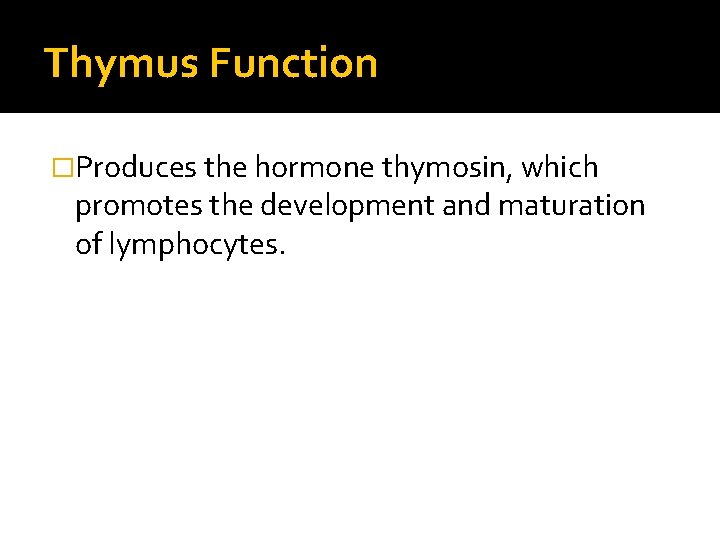 Thymus Function �Produces the hormone thymosin, which promotes the development and maturation of lymphocytes.