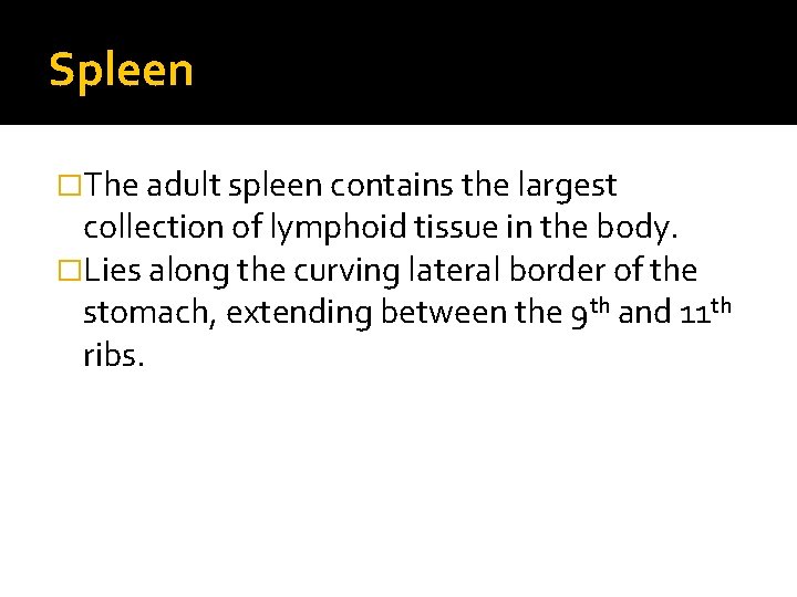 Spleen �The adult spleen contains the largest collection of lymphoid tissue in the body.