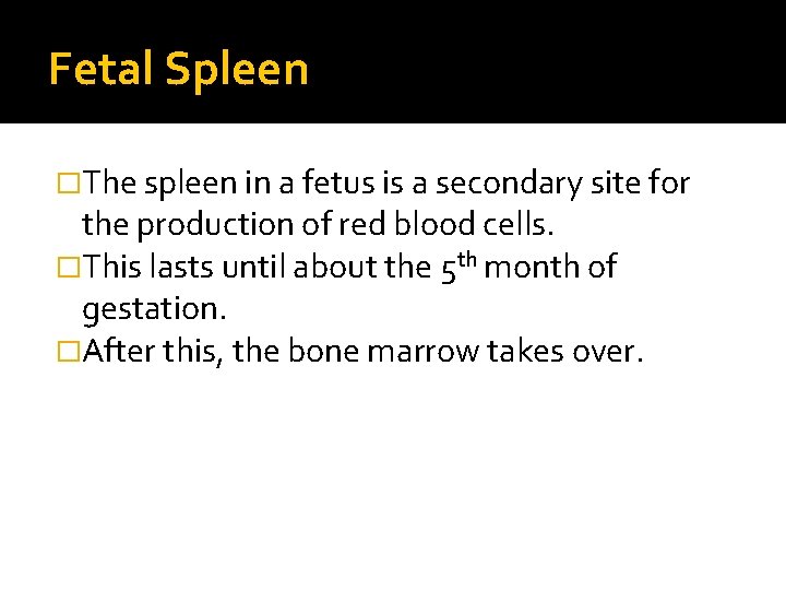 Fetal Spleen �The spleen in a fetus is a secondary site for the production