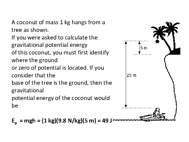 A coconut of mass 1 kg hangs from a tree as shown. If you