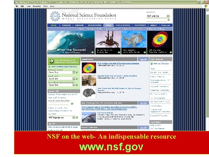 NSF on the web- An indispensable resource www. nsf. gov 