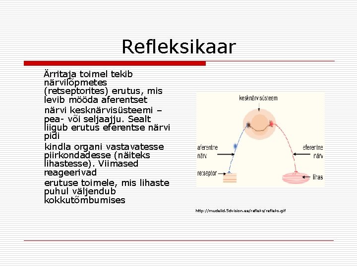 Refleksikaar Ärritaja toimel tekib närvilõpmetes (retseptorites) erutus, mis levib mööda aferentset närvi kesknärvisüsteemi –