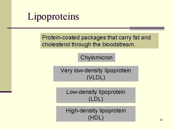 Lipoproteins Protein-coated packages that carry fat and cholesterol through the bloodstream. Chylomicron Very low-density Lipoproteins Protein-coated packages that carry fat and cholesterol through the bloodstream. Chylomicron Very low-density