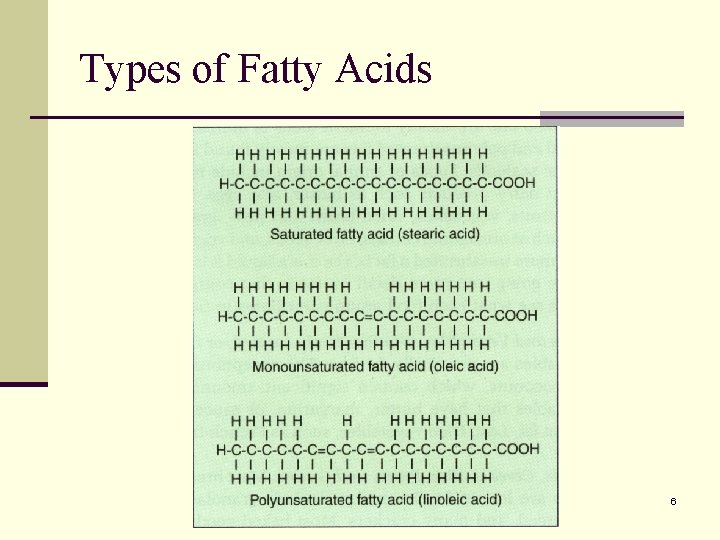 Types of Fatty Acids 6 Types of Fatty Acids 6