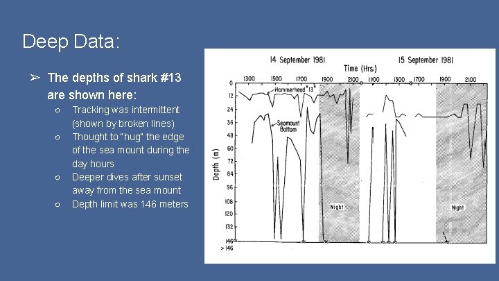 Deep Data: ➢ The depths of shark #13 are shown here: ○ ○ Tracking