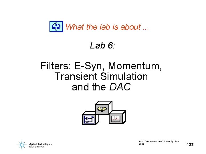 What the lab is about. . . Lab 6: Filters: E-Syn, Momentum, Transient Simulation