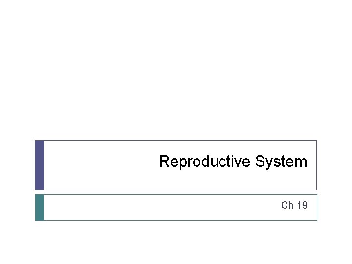 Reproductive System Ch 19 