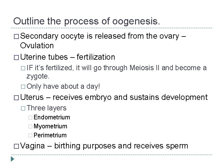 Outline the process of oogenesis. � Secondary oocyte is released from the ovary –