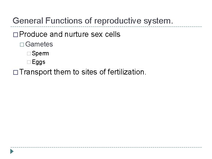 General Functions of reproductive system. � Produce and nurture sex cells � Gametes �