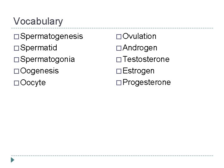 Vocabulary � Spermatogenesis � Ovulation � Spermatid � Androgen � Spermatogonia � Testosterone �