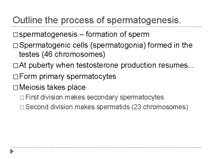 Outline the process of spermatogenesis. � spermatogenesis – formation of sperm � Spermatogenic cells