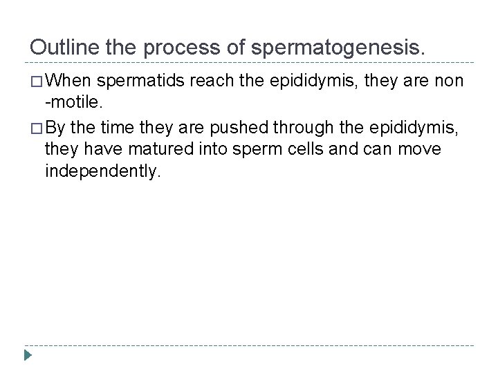 Outline the process of spermatogenesis. � When spermatids reach the epididymis, they are non