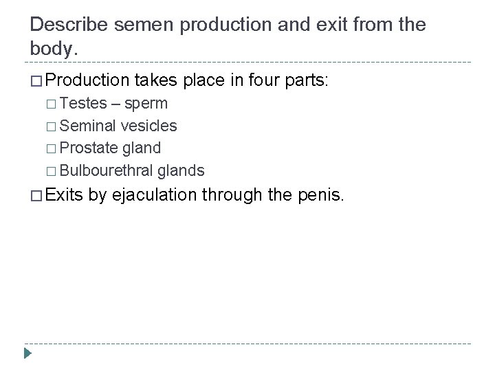Describe semen production and exit from the body. � Production takes place in four