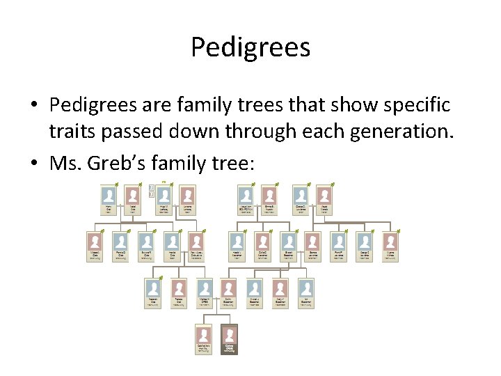 Pedigrees • Pedigrees are family trees that show specific traits passed down through each