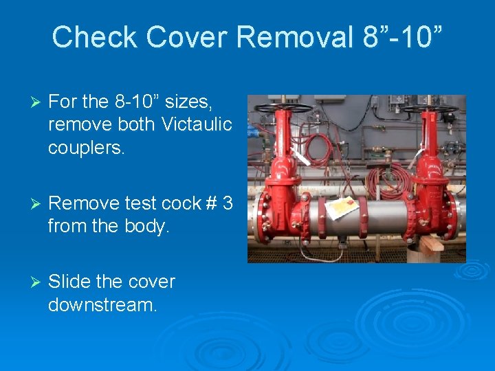 Check Cover Removal 8”-10” Ø For the 8 -10” sizes, remove both Victaulic couplers.